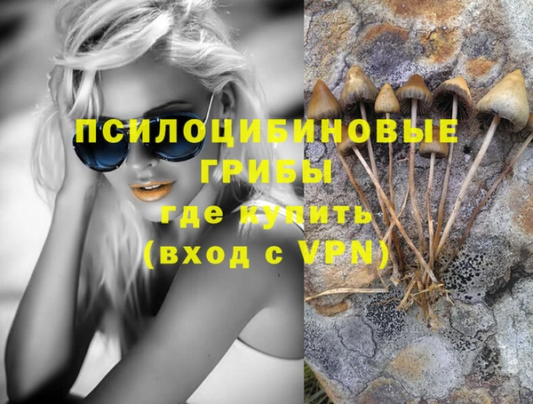 соль ск Туринск