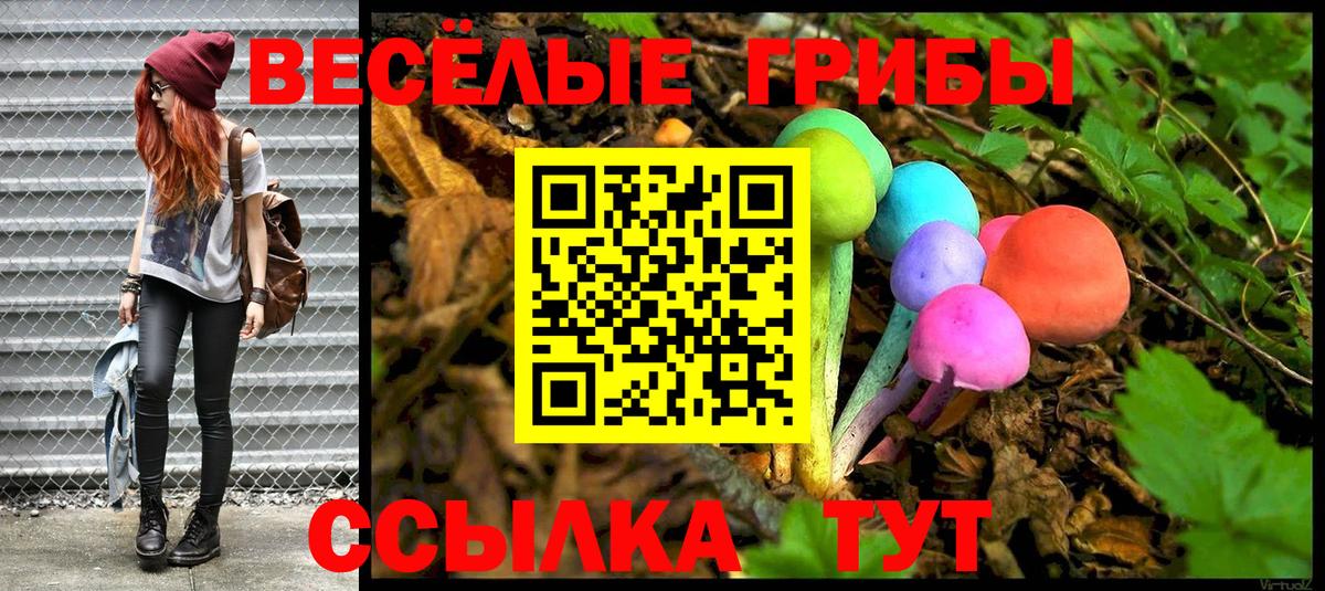 Галлюциногенные грибы Psilocybine cubensis Сатка